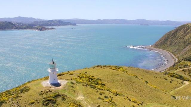 Wild Finder Wellington Lighthouse