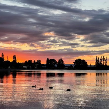 Lake Sunset With Ducks