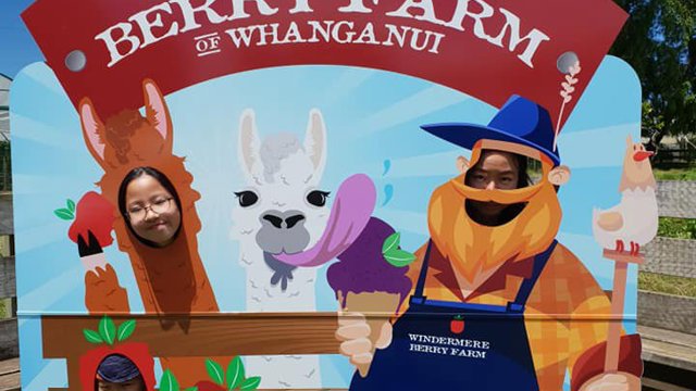 Windermere Berry Farm Whanganui