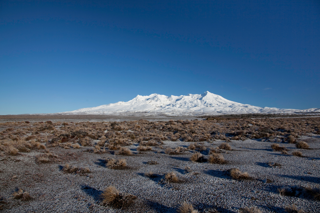 Best New Zealand Ski Fields to Hit This Winter | TOP 10 Holiday Parks