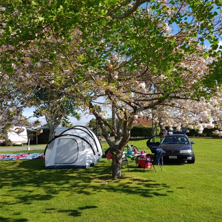 Levin TOP 10 Holiday Park tent camping