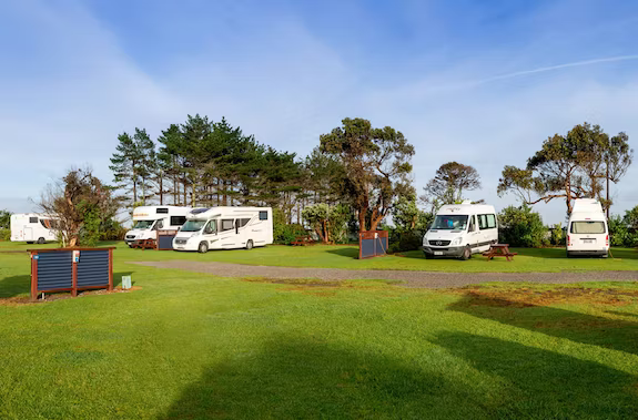 campervans parked in powered sites at carters beach holiday park