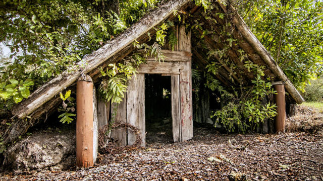 The Buried Village of Te Wairoa