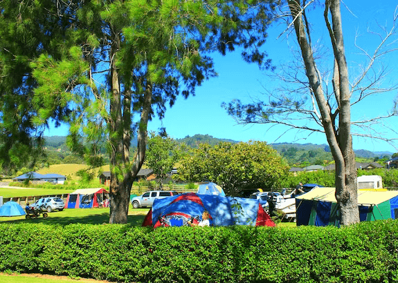 Camping in Coromandel Town