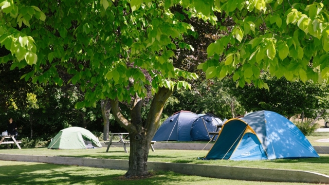 Wanaka TOP 10 unpowered tent sites