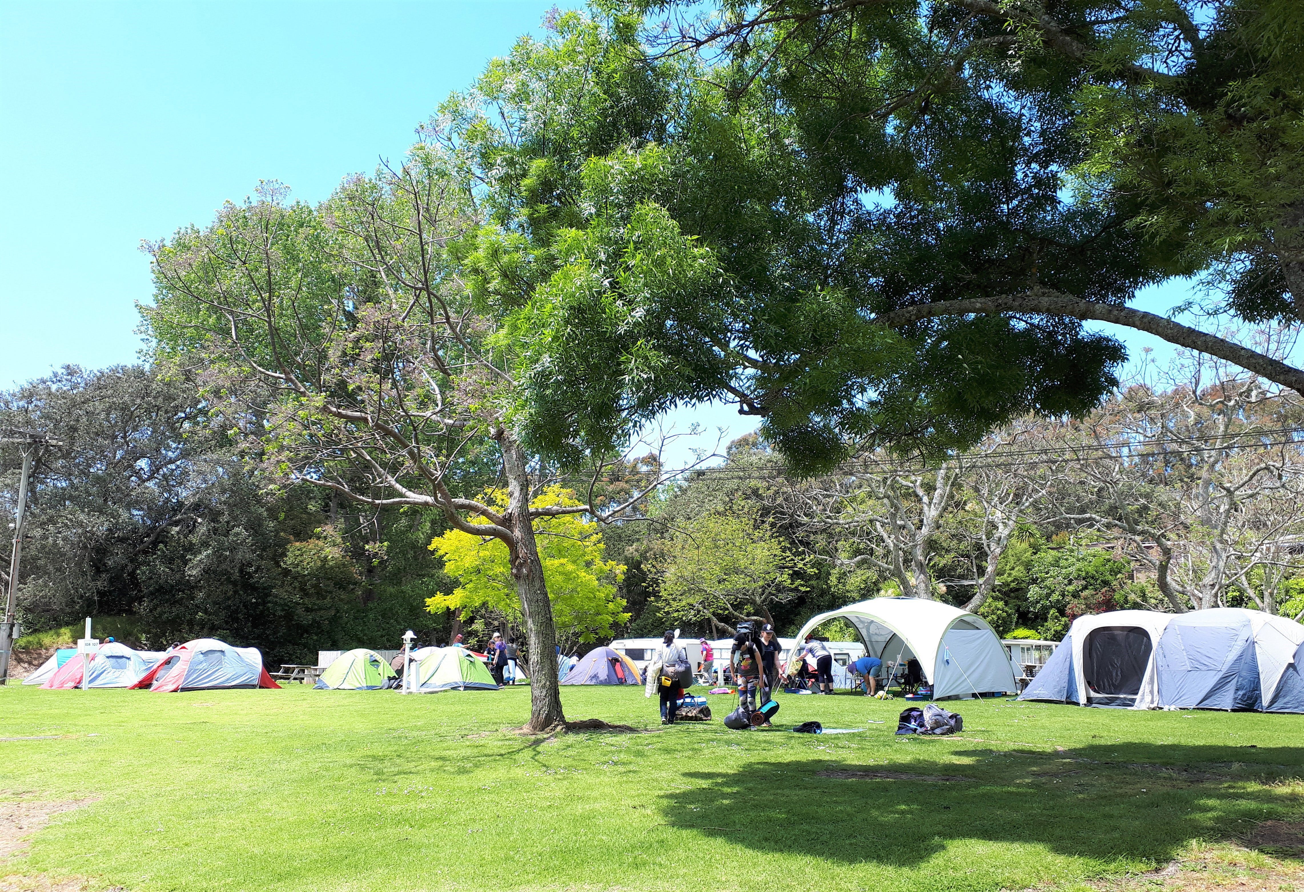 Orere Point TOP 10 Holiday Park Camping
