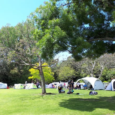 Orere Point TOP 10 Holiday Park Camping
