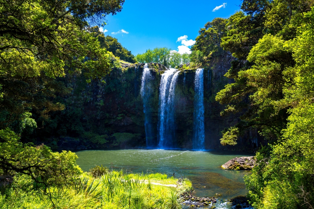 Whangārei Falls