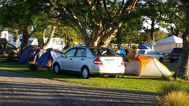 Unpowered tent sites at Martinborough TOP 10 Holiday Park