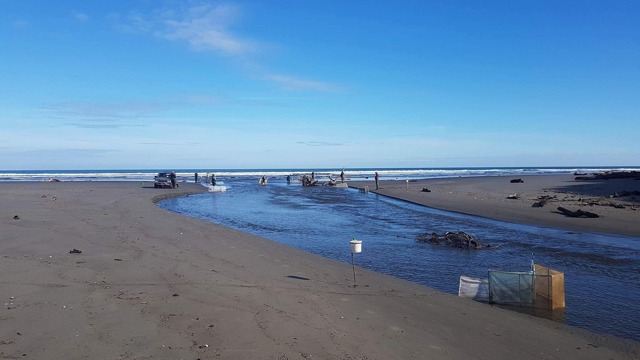 Himatangi Beach