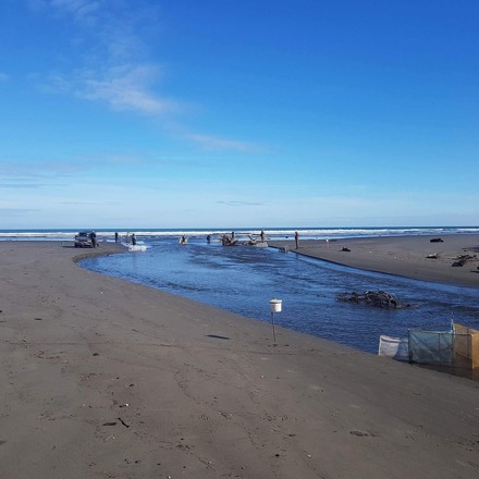 Himatangi Beach