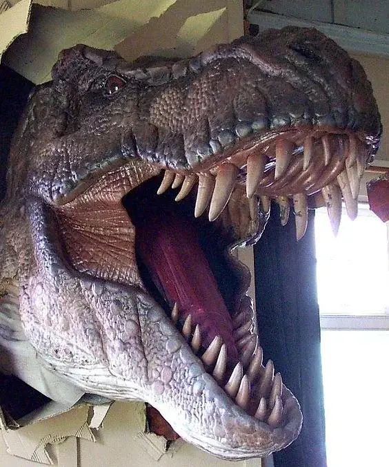 Dinosaur Museum