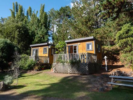 Standard Cabins at Ahipara TOP 10 Holiday Park