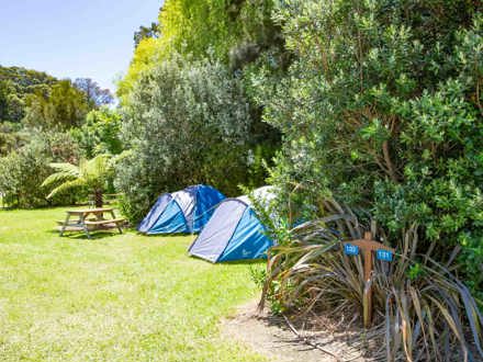 New Zealand Camp Site TOP 10 Holiday Park