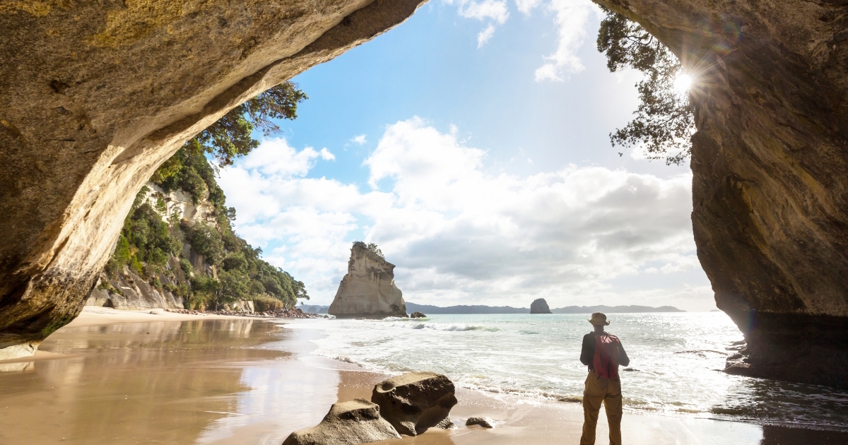 Best Coromandel Camping Site TOP 10 Holiday Parks
