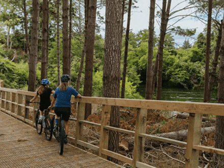 People biking along bridge in forest