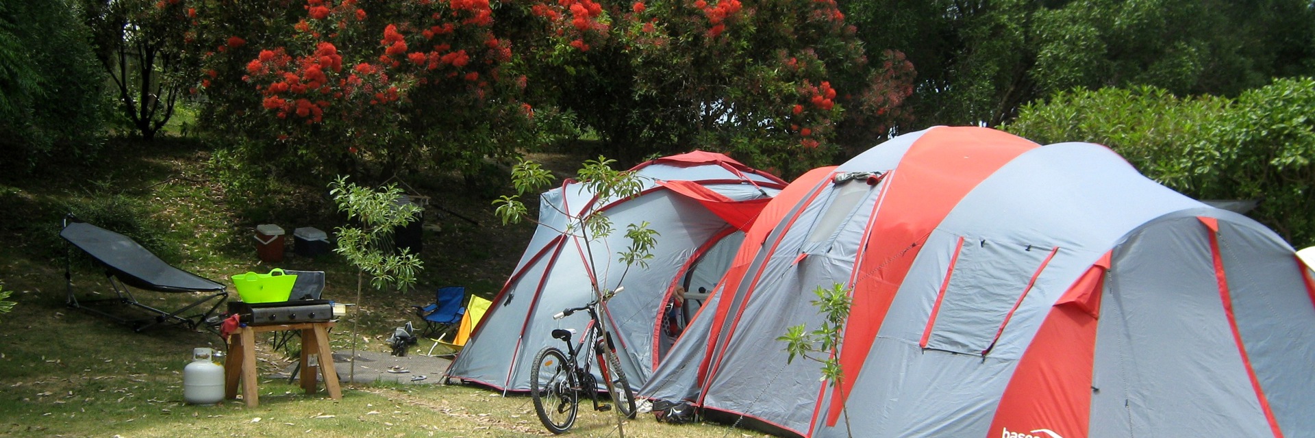 Napier Beach TOP 10 Holiday Park tent camping
