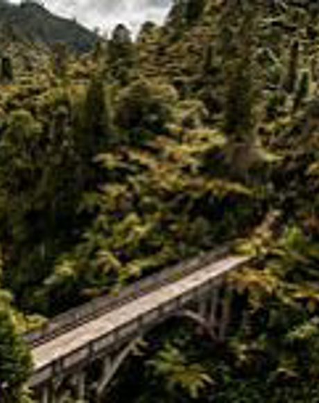 Whanganui River Bridge to Nowhere