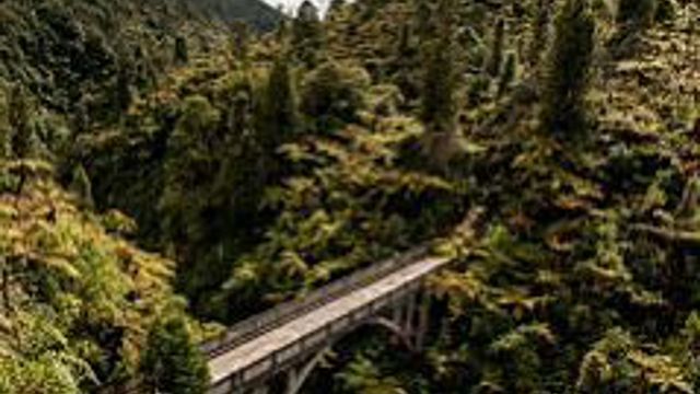 Whanganui River Bridge to Nowhere