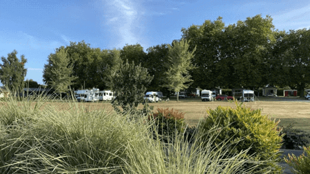 Grass area for campsite