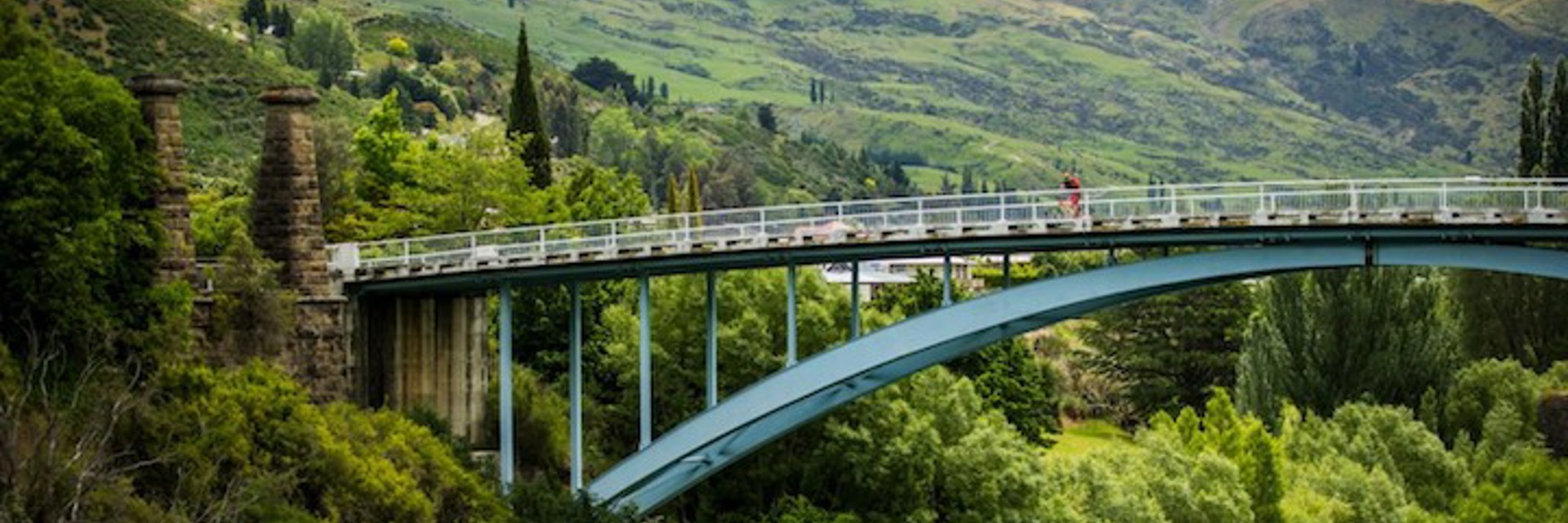 Roxburgh Bridge in Green Forest New Zealand