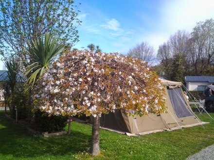 Tent Sites Timaru Top10 Holiday Park