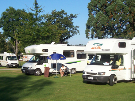 Campervans on powered sites at Geraldine TOP 10