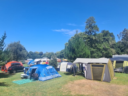 Whanganui River TOP 10 Camp Site