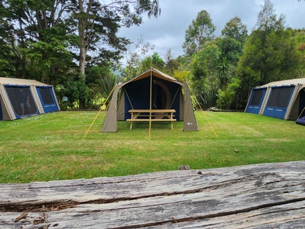 Kauri Coast TOP 10 Rent a Tent