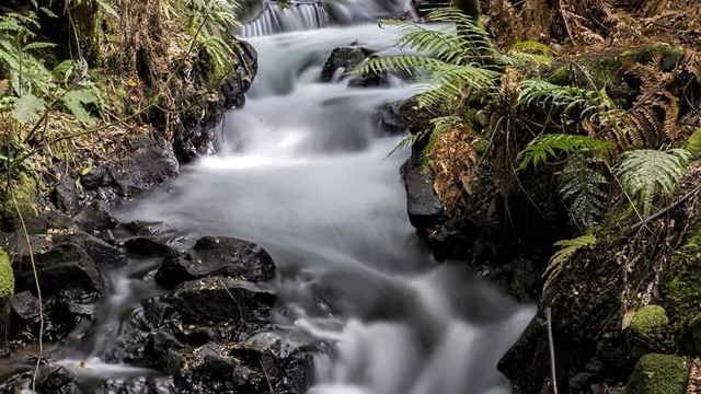 The Buried Village of Te Wairoa