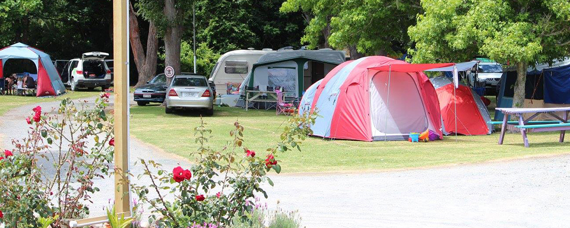 Sites at Hihi Beach TOP 10 Holiday Park