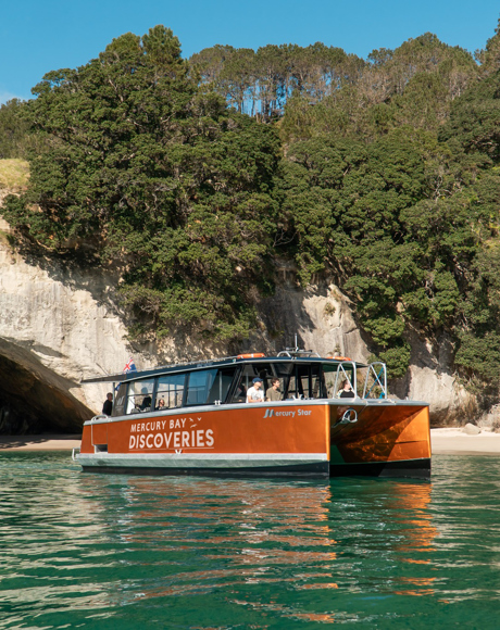 Mercury Bay Discoveries - TOP 10 Member Benefit