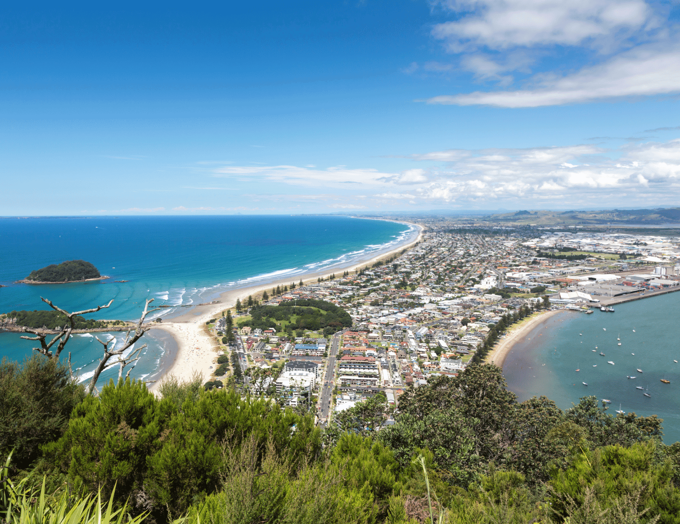 Why Tauranga Is A Great Place For A Holiday