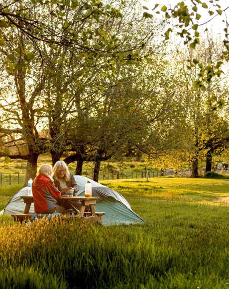 Couple sitting at picnic bench at tent site at Fox Glacier TOP 10