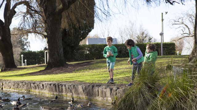 Hastings TOP 10 Holiday Park Powered Site Feeding Ducks