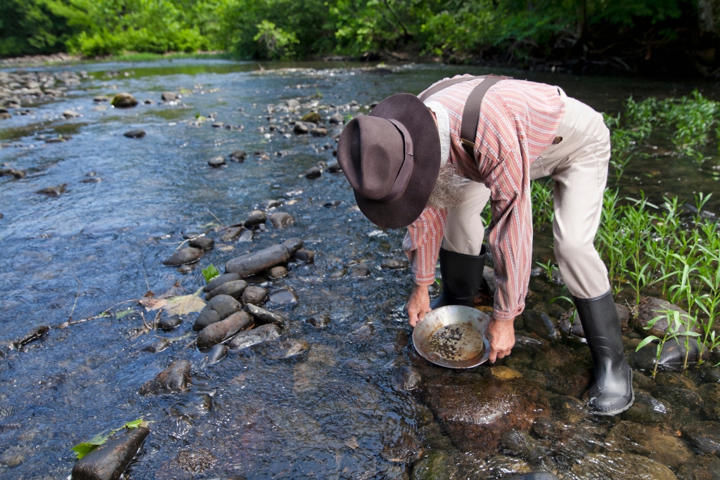 person panning gold at Ross