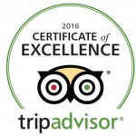Tripadvisor Award Of Excellence