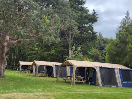 Kauri Coast TOP 10 Rent a Tent