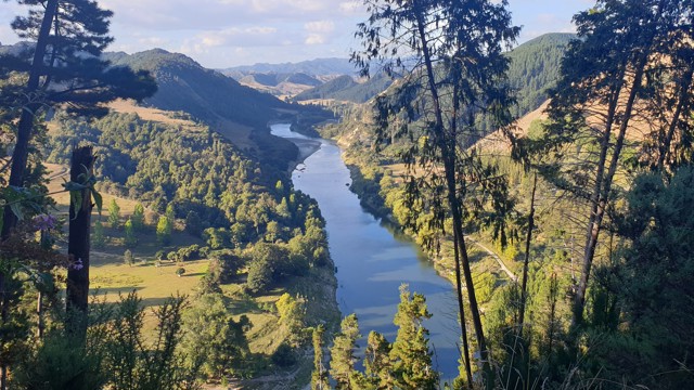 River Road ViewPoint Whanganui River